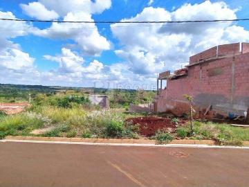 Terreno / Lote para Venda em Limeira/SP Residencial Colinas do Engenho I