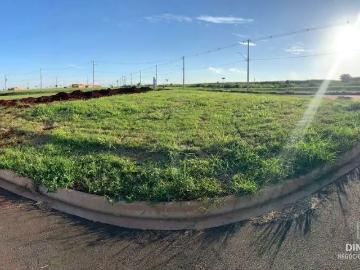 Terreno / Lote para Venda em Limeira/SP Residencial Colinas do Engenho II