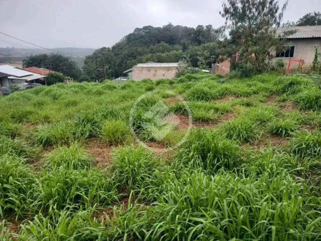 Terreno / Lote para Venda em Lindoeste/PR Centro