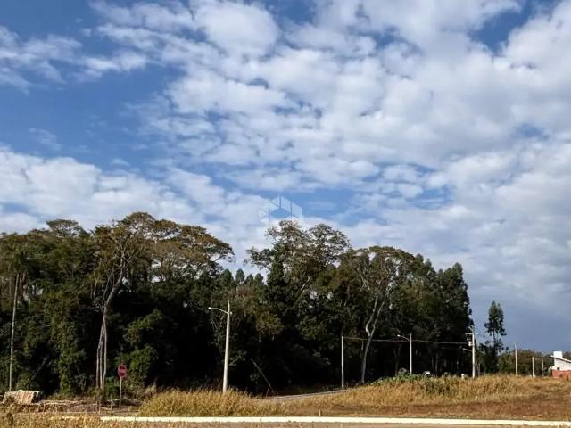 Terreno / Lote para Venda em Lindolfo Collor/RS Boa Vista