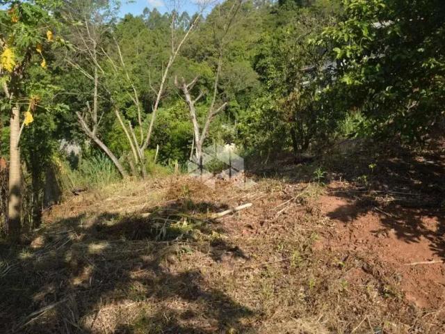 Terreno / Lote para Venda em Lindolfo Collor/RS Centro