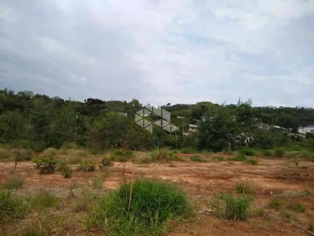 Terreno / Lote para Venda em Lindolfo Collor/RS Quarenta e Oito Baixa