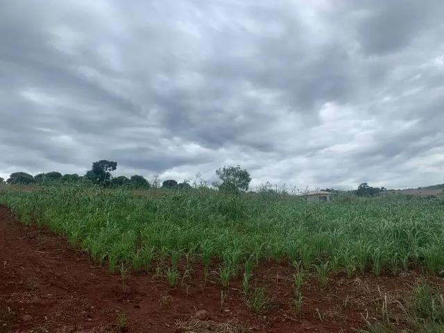 Terreno / Lote para Venda em Londrina/PR Maravilha