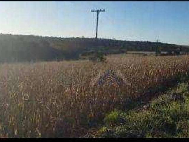 Terreno / Lote para Venda em Londrina/PR Maravilha