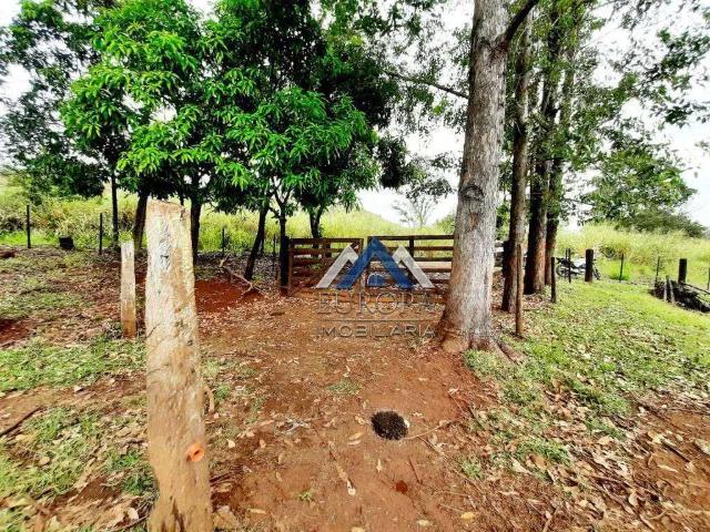 Terreno / Lote para Venda em Londrina/PR Maravilha