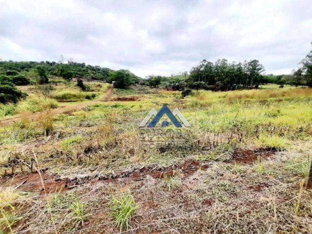 Terreno / Lote para Venda em Londrina/PR Maravilha