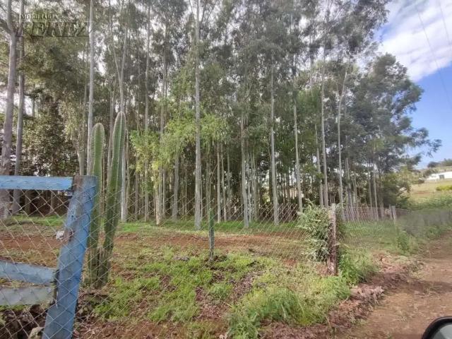 Terreno / Lote para Venda em Londrina/PR Maravilha