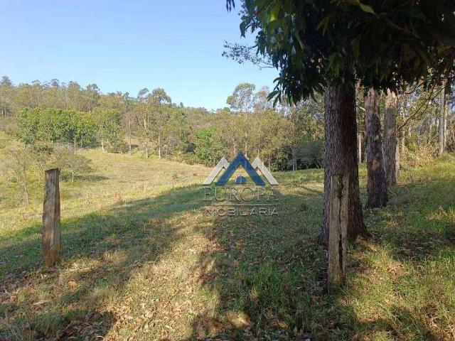 Terreno / Lote para Venda em Londrina/PR Maravilha