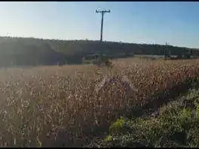 Terreno / Lote para Venda em Londrina/PR Maravilha