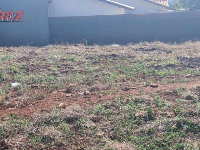 Terreno / Lote para Venda em Londrina/PR Monte Carlo