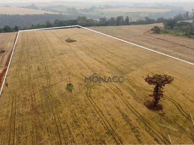 Terreno / Lote para Venda em Londrina/PR Novo Aeroporto