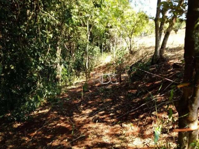 Terreno / Lote para Venda em Londrina/PR Ouro Branco