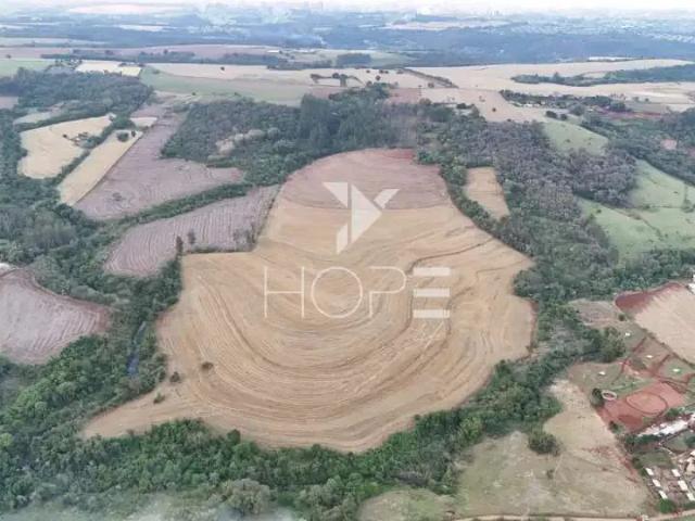 Terreno / Lote para Venda em Londrina/PR Área Rural de Londrina