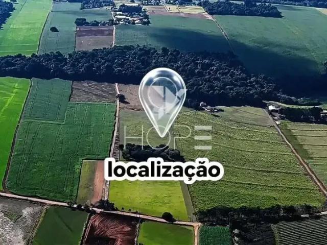 Terreno / Lote para Venda em Londrina/PR Área Rural de Londrina