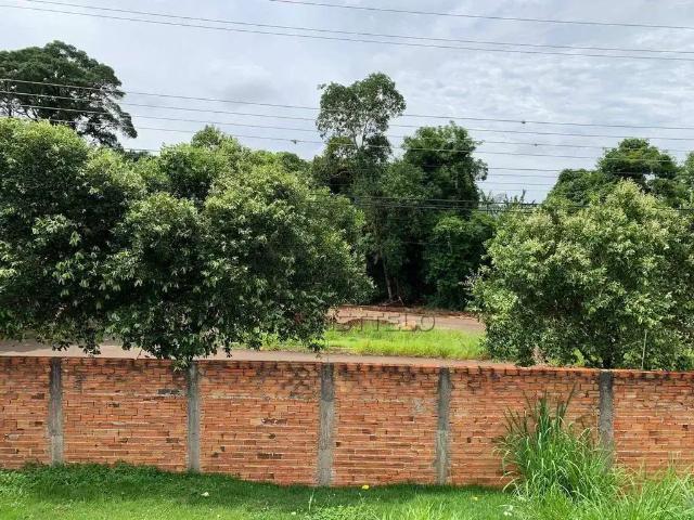 Terreno / Lote para Venda em Londrina/PR Cambezinho