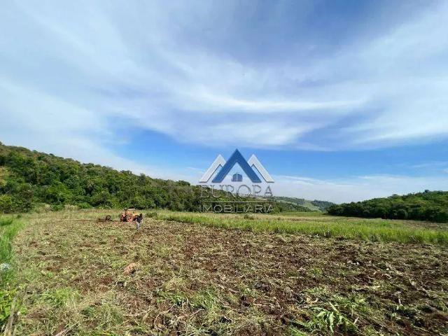 Terreno / Lote para Venda em Londrina/PR Centro