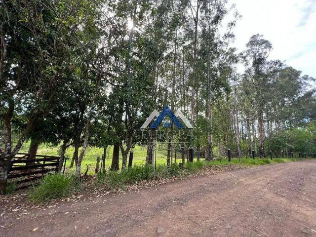 Terreno / Lote para Venda em Londrina/PR Centro