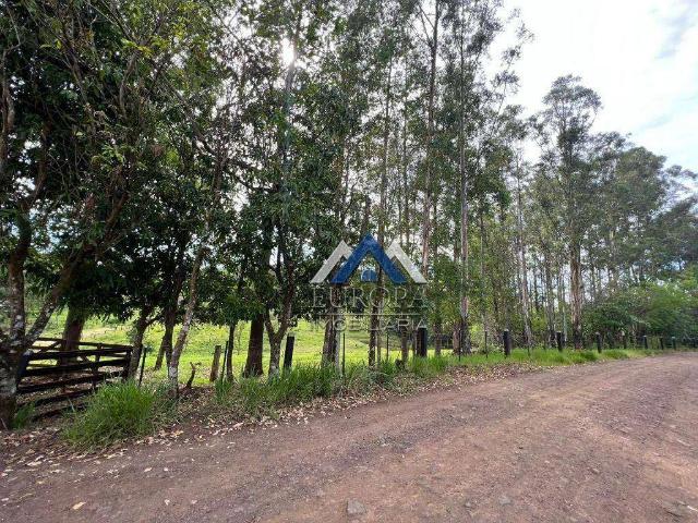 Terreno / Lote para Venda em Londrina/PR Centro