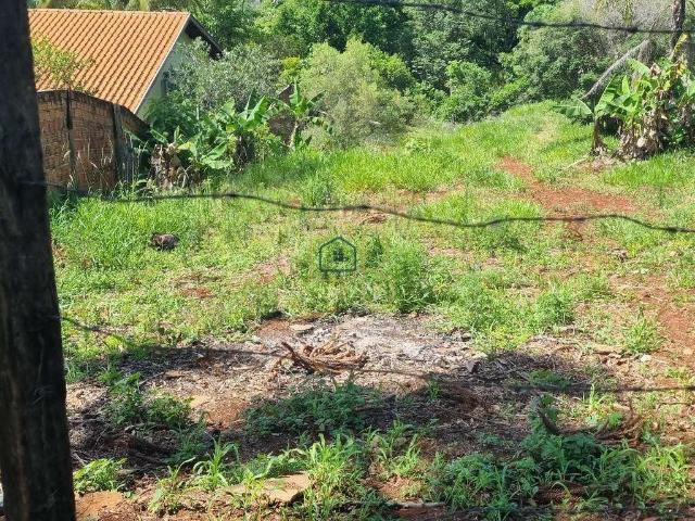 Terreno / Lote para Venda em Londrina/PR Cláudia