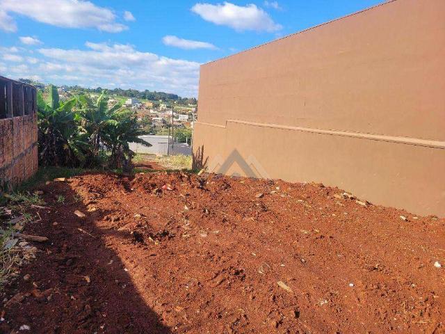 Terreno / Lote para Venda em Londrina/PR Colinas