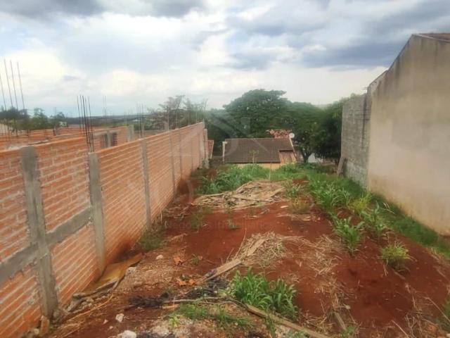 Terreno / Lote para Venda em Londrina/PR Colúmbia