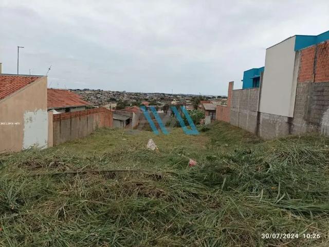 Terreno / Lote para Venda em Londrina/PR Colúmbia