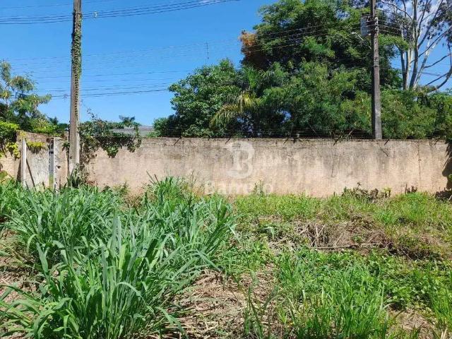 Terreno / Lote para Venda em Londrina/PR Eucaliptos