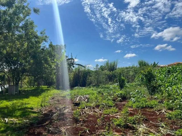 Terreno / Lote para Venda em Londrina/PR Guaravera