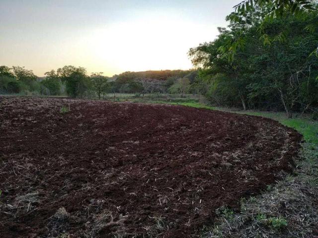 Terreno / Lote para Venda em Londrina/PR Jardim Vale Verde