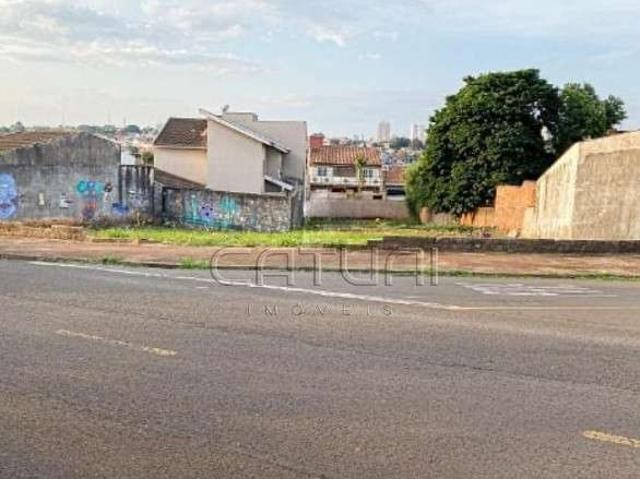 Terreno / Lote para Venda em Londrina/PR Jardim Central Park