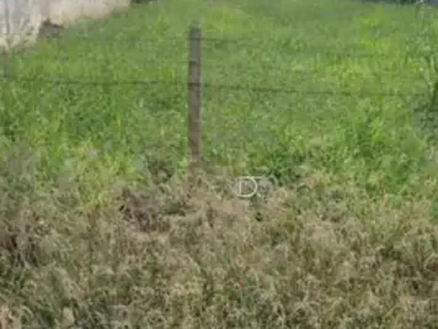Terreno / Lote para Venda em Londrina/PR Jardim da Luz