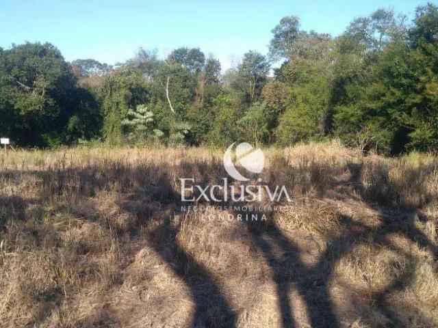 Terreno / Lote para Venda em Londrina/PR Jardim Itatiaia 1