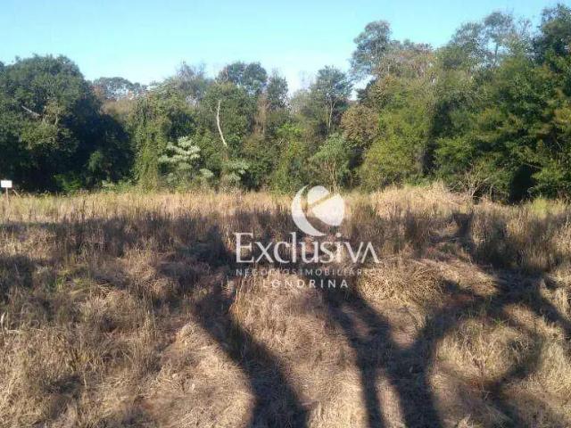 Terreno / Lote para Venda em Londrina/PR Jardim Itatiaia 1