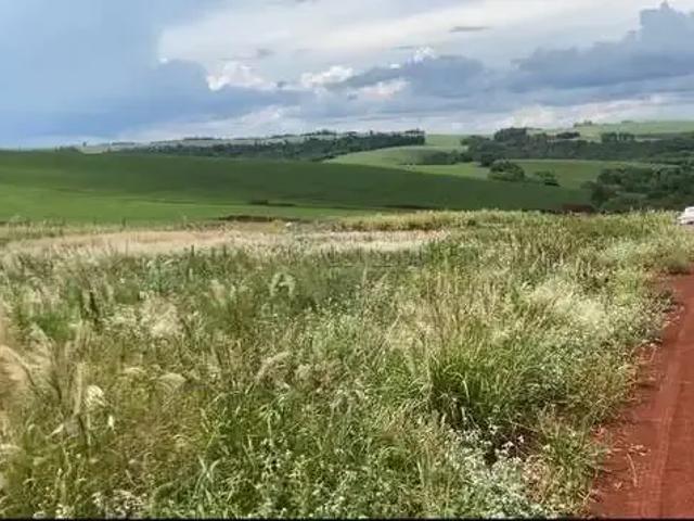 Terreno / Lote para Venda em Londrina/PR Jardim Primavera