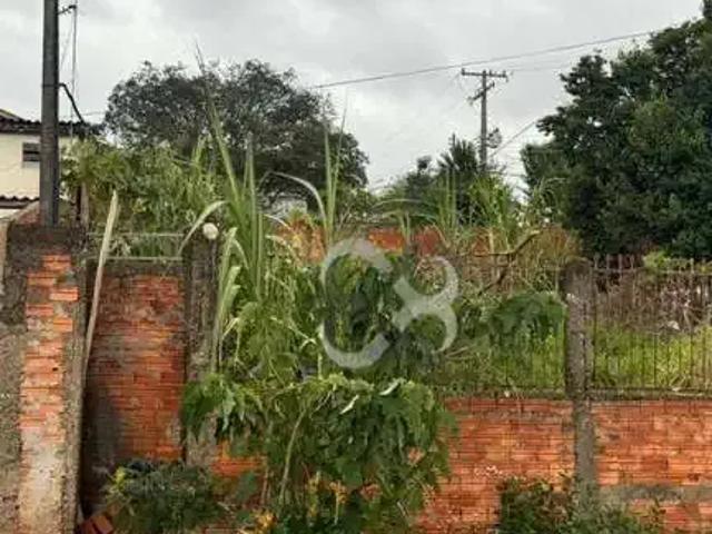 Terreno / Lote para Venda em Londrina/PR Jardim Real