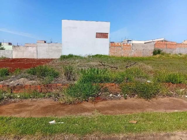 Terreno / Lote para Venda em Londrina/PR Jardim São Paulo II