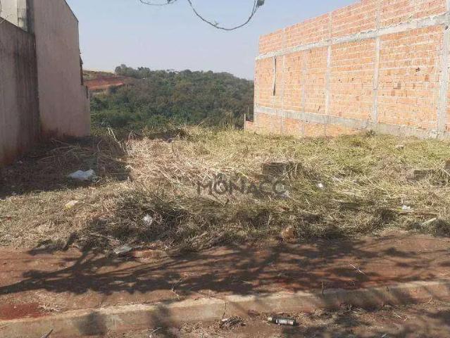 Terreno / Lote para Venda em Londrina/PR Lon Rita