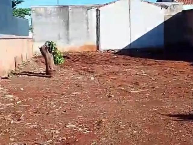 Terreno / Lote para Venda em Londrina/PR Santa Rita 1