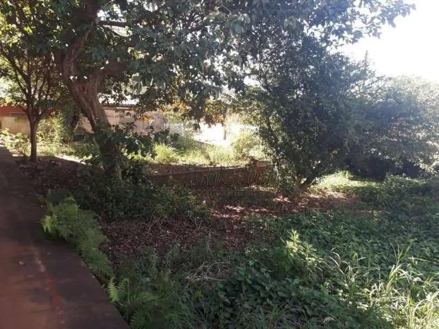 Terreno / Lote para Venda em Londrina/PR Vila Brasil