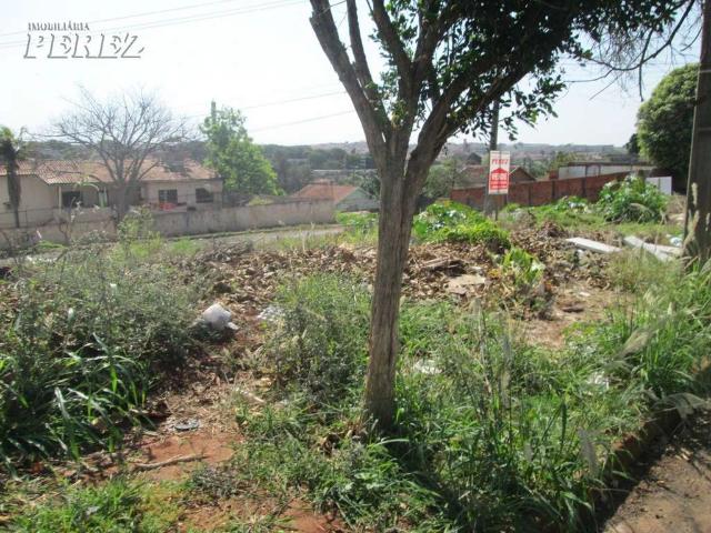 Terreno / Lote para Venda em Londrina/PR Vila Matarazzo