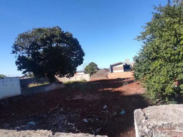 Terreno / Lote para Venda em Londrina/PR Vila Nova