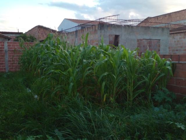 Terreno / Lote para Venda em Lorena/SP Loteamento Jardim Primavera