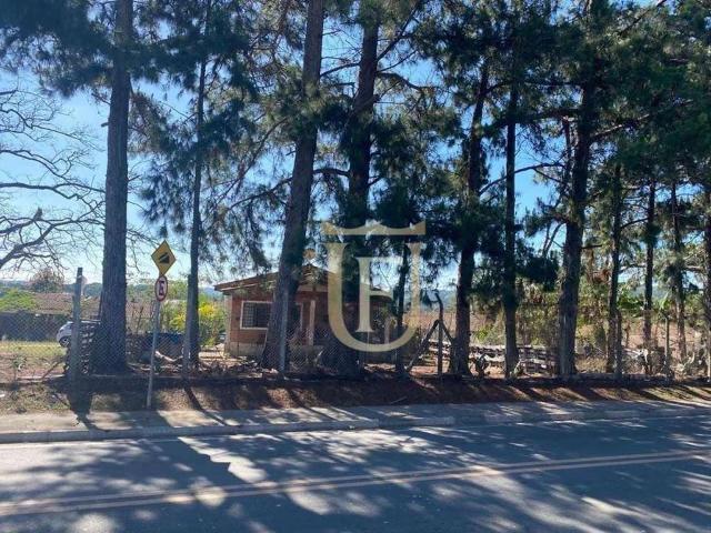 Terreno / Lote para Venda em Louveira/SP Capivari