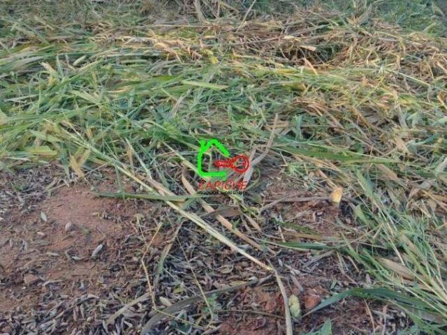 Terreno / Lote para Venda em Louveira/SP Capivari