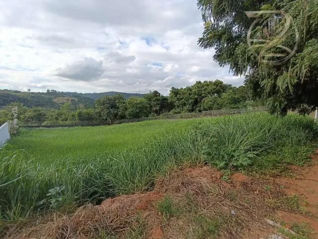 Terreno / Lote para Venda em Louveira/SP Jardim Primavera