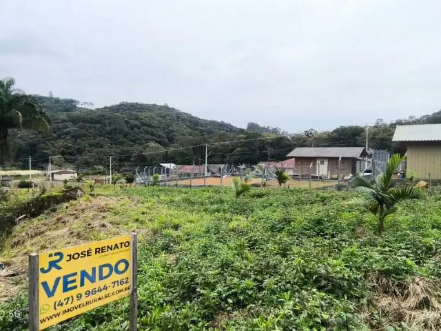 Terreno / Lote para Venda em Luiz Alves/SC Alto Máximo