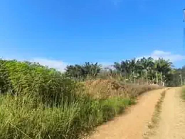 Terreno / Lote para Venda em Luiz Alves/SC Alto Máximo