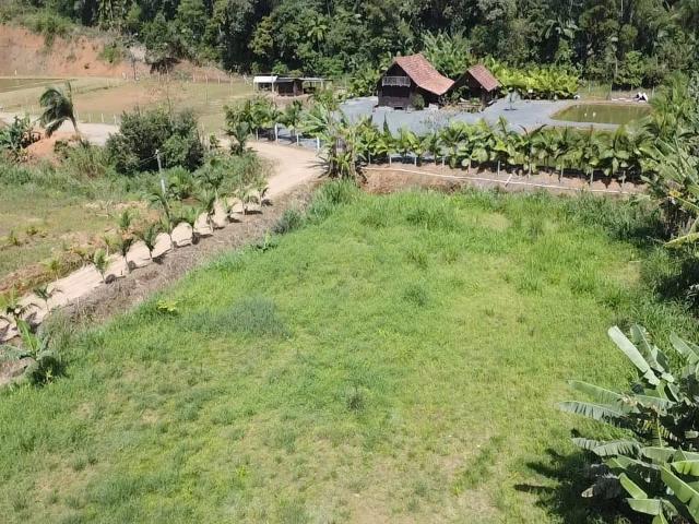 Terreno / Lote para Venda em Luiz Alves/SC Alto Máximo