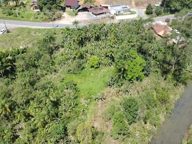 Terreno / Lote para Venda em Luiz Alves/SC Braço Serafim