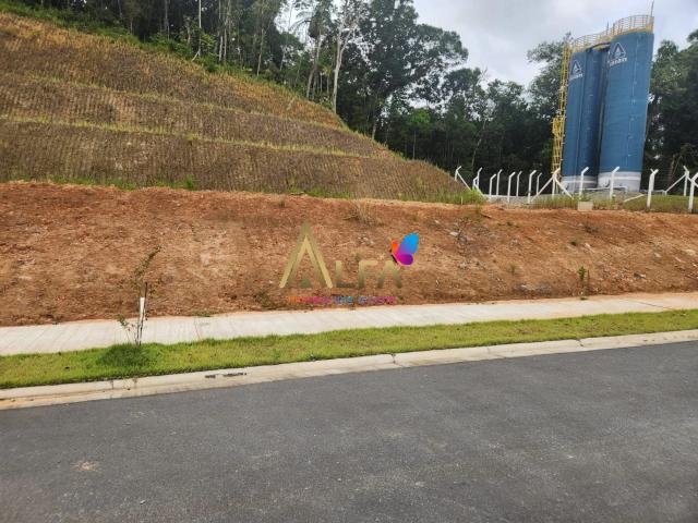Terreno / Lote para Venda em Luiz Alves/SC Dom Bosco